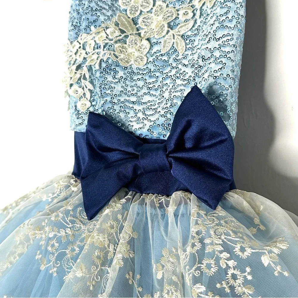 Weissman Ever Ever After Dance Costume Child Small
